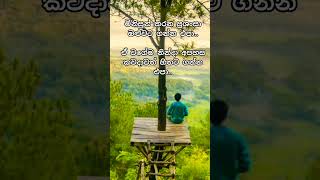 ජවතයට වටන තරමගනමක