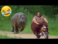 Best Funny Videos 🤣 - People Being Idiots / 🤣 Try Not To Laugh - BY Funny Dog 🏖️ #9