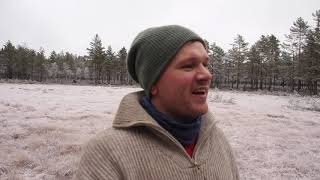 Marraskuussa marjastaan - Miksi metsä on ihmiselle niin tärkeä paikka?