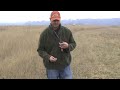 Free Hunting Dog Training Videos - Clicker Training with your new Puppy