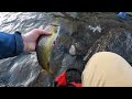 Spillway Winter Trout Fishing