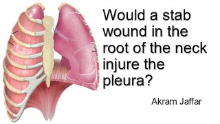 Would A Stab Wound In The Root Of The Neck Injure The Pleura?