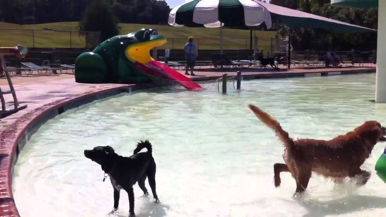 signal bay water park