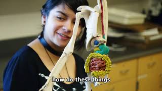 Northglenn High School & The Morgridge Academy | ANATOMY IN CLAY® Learning System