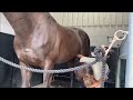 Sheath Cleaning. How to do it
