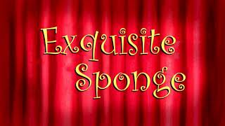 Exquisite Sponge