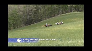 Valley Meadow Farms Bed and Barn, Maryland