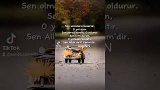 Aynen