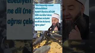 Cübbeli Ahmet Hoca Efendi Anlamlı Sözler