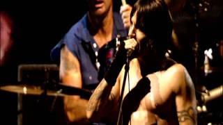 Watch Red Hot Chili Peppers The Power Of Equality video