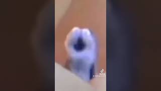 Uhsj