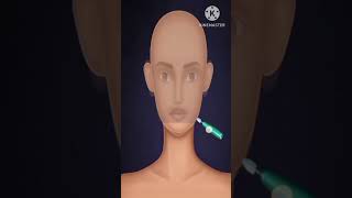 Ghost Mekup Animation Asmr