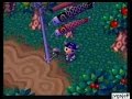 Animal Crossing