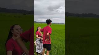 Indahnya Pemandangan Persawahan Guys