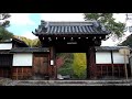 京都 霊鑑寺 紅葉 Reikan-ji Temple in autumn, Kyoto(2017-11)