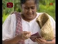 Sandagala Thanna (13) - 05-02-2020