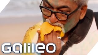 Darum Sind Die Inder So Verrückt Nach Mango Galileo Prosieben