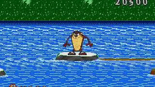 Taz-Mania Sega Genesis Level 12 Jungle 4