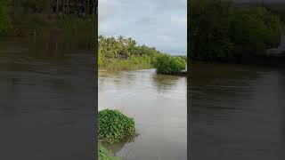 Mandovi River, Goa.