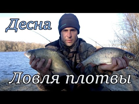 видео рыбалка на плотву видео рыбалка на плотву