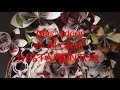 Flores de Papel