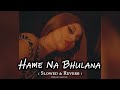 Hame Na Bhulana | Slowed & Reverb  | Tere Pyar Mein Main Marjawan | Tiktok Trending Lofi