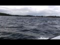 Angelreise nach Schweden auf Hecht und Dorsch