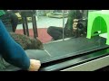 Kiwi rocking the treadmill