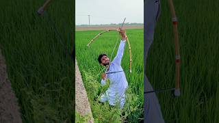 Zalam Shikary Aur Mor