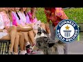 Most Socks removed by a Dog in 1 Minute! | Guinness World Records