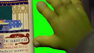 Like Thats Ever Gonna Happen - Greenscreen