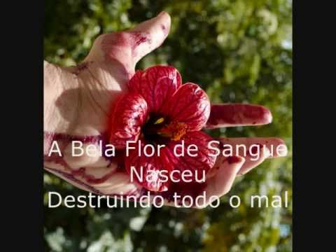 Flower Of Blood Video