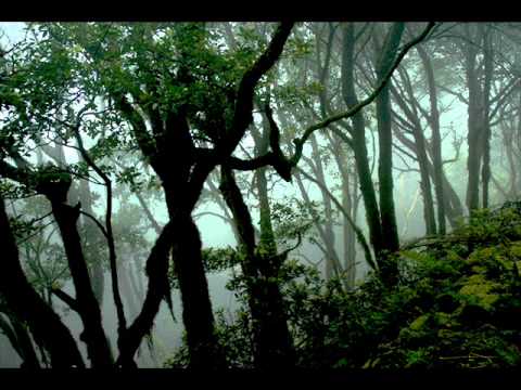 Taal Tomaler Bon - Lalon band