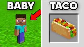 51 Minecraft Things You Didnt Know Existed