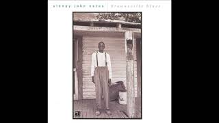 Watch Sleepy John Estes Brownsville Blues video