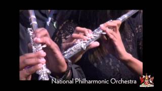 National Philharmonic Orchestra Performs Old Lady Walk A Mile A Half National Philharmonic Orchestra Performs Old Lady Walk A Mile A Half