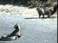 #!_video_video.php-v_111696365522458&subj_1849044740.mp4