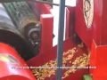 Processing Of Coffee Sorting Grading | RM. Processing Of Coffee Sorting Grading | RM.