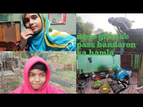 Bacha hua khana aur bhujiya banae the#cooking #vlog #cookingfood Bacha hua khana aur bhujiya banae the#cooking #vlog #cookingfood