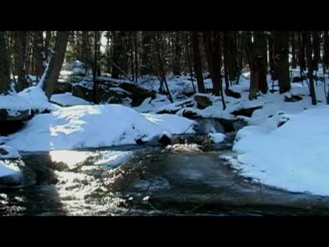 Relaxing sounds of Flowing Water