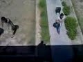 الاقسام الداخلية في جامعة الانبار