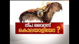 Nipah Virus puts Kerala in Panic Mode | News Hour 21 May 2018 Nipah Virus puts Kerala in Panic Mode | News Hour 21 May 2018