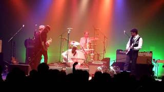Watch Eels Jungle Telegraph video
