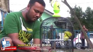 Download lagu Via Vallen Selow