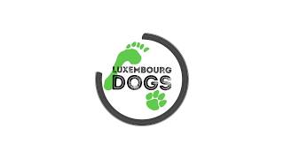 Revivez la Dingotte Crazy Dog Run au sein du Luxembourg Dogs !