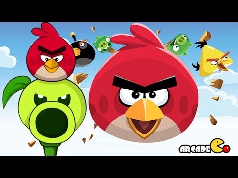 Angry Birds vs Peashooter Angry Birds \u0026 Plants vs Angry Birds vs Peashooter Angry Birds \u0026 Plants vs
