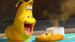LARVA - THE COOKIE | 2017 Cartoon | Cartoons For Children | Kids TV Shows Full Episodes