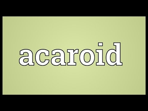 Header of acaroid