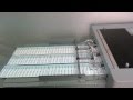 Cortadeira Linear CC 330 Business Card Cutter Cortadeira Linear CC 330 Business Card Cutter