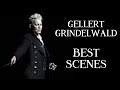 Best Grindelwald Moments and Scenes | Fantastic Beasts Movies (Wizarding World) | Categorized